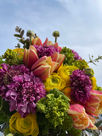 IMG_2120.jpeg