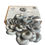 Thumbnail: Blue Oyster Grow Kit
