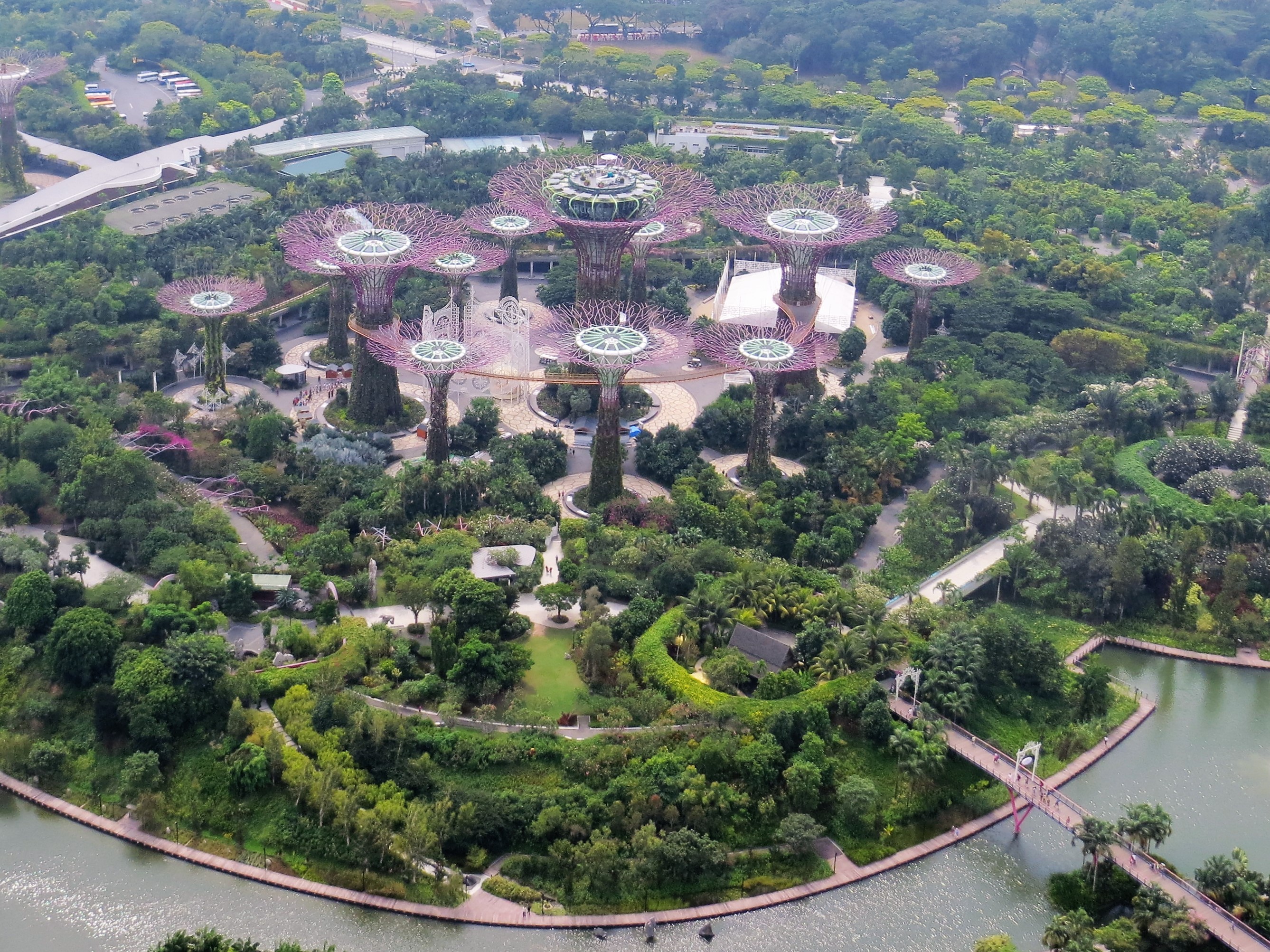 Singapore Marina Bay Sands Skypark view of supertree grove IMG_7799