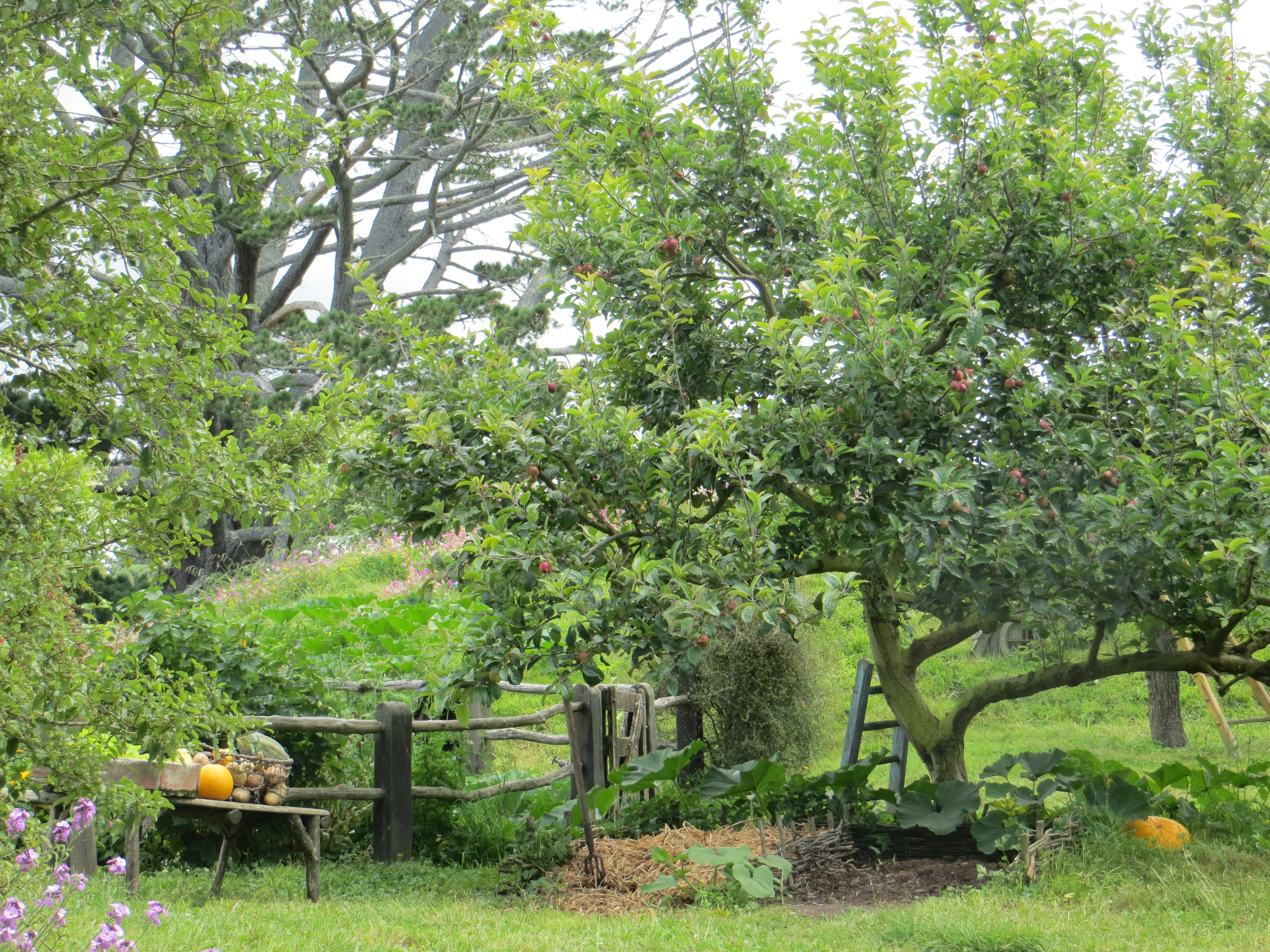 hobbiton R 2017-01-09 075