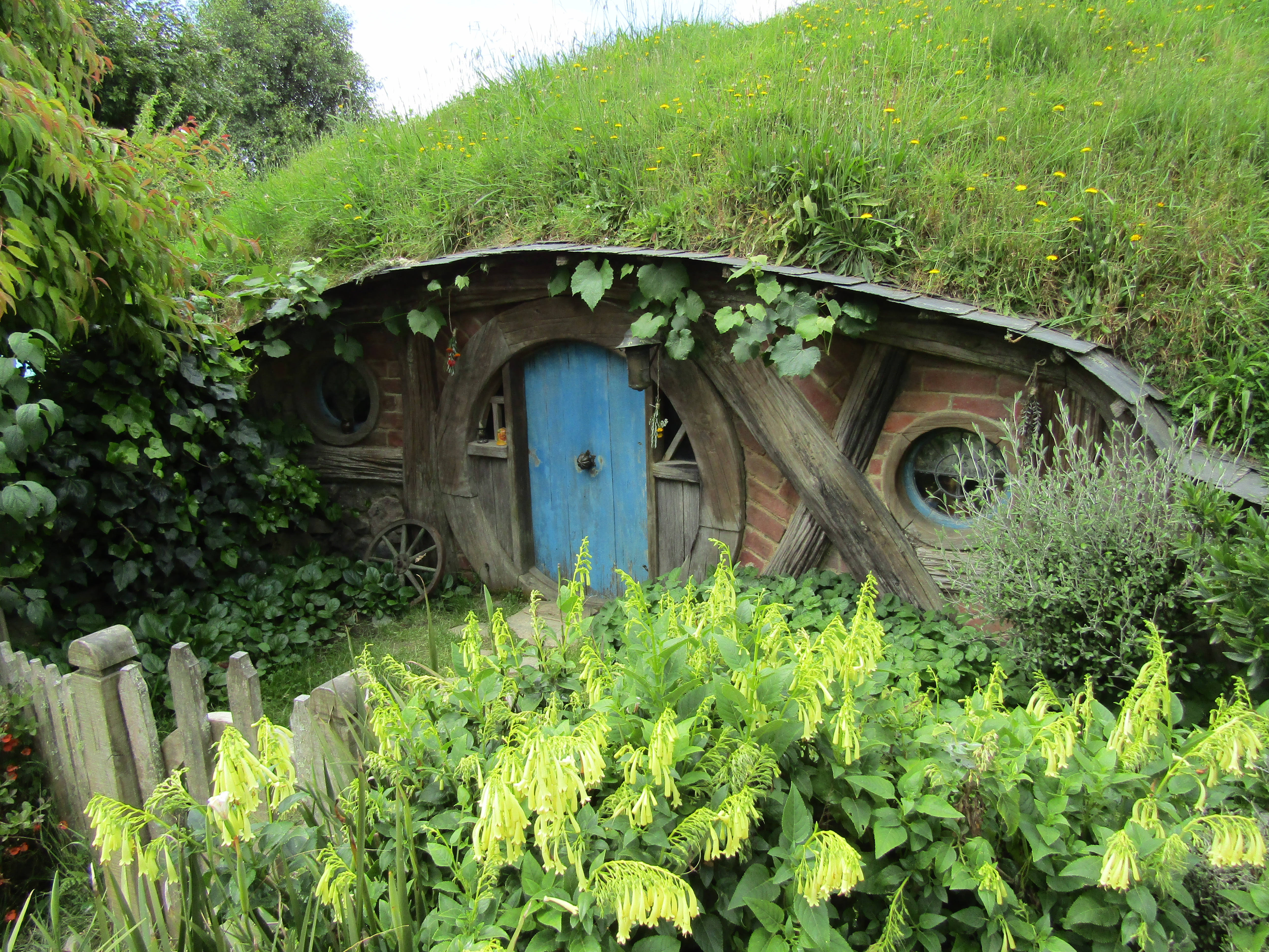 hobbiton MM 2017-01-09 132