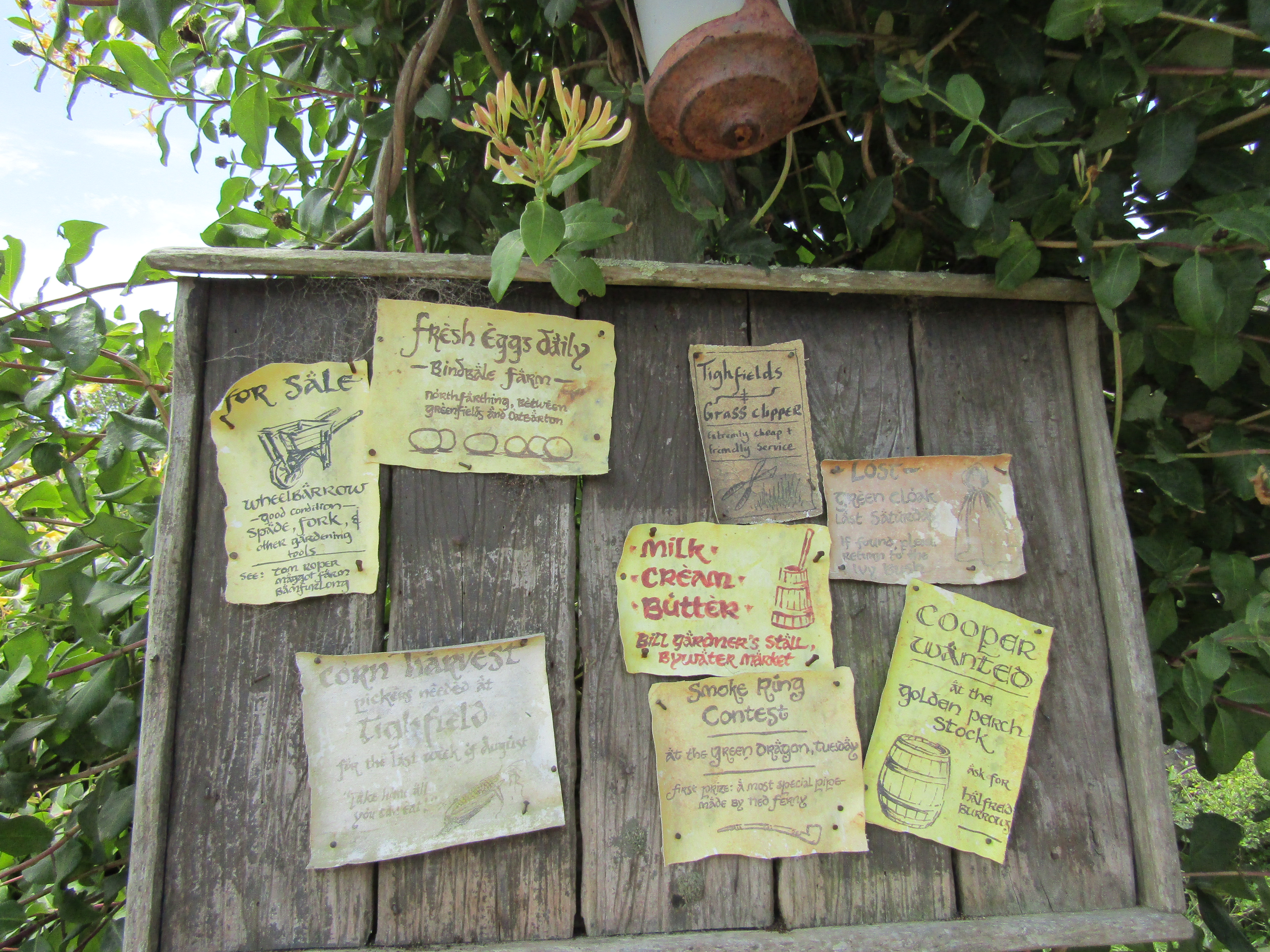 hobbiton MM 2017-01-09 239
