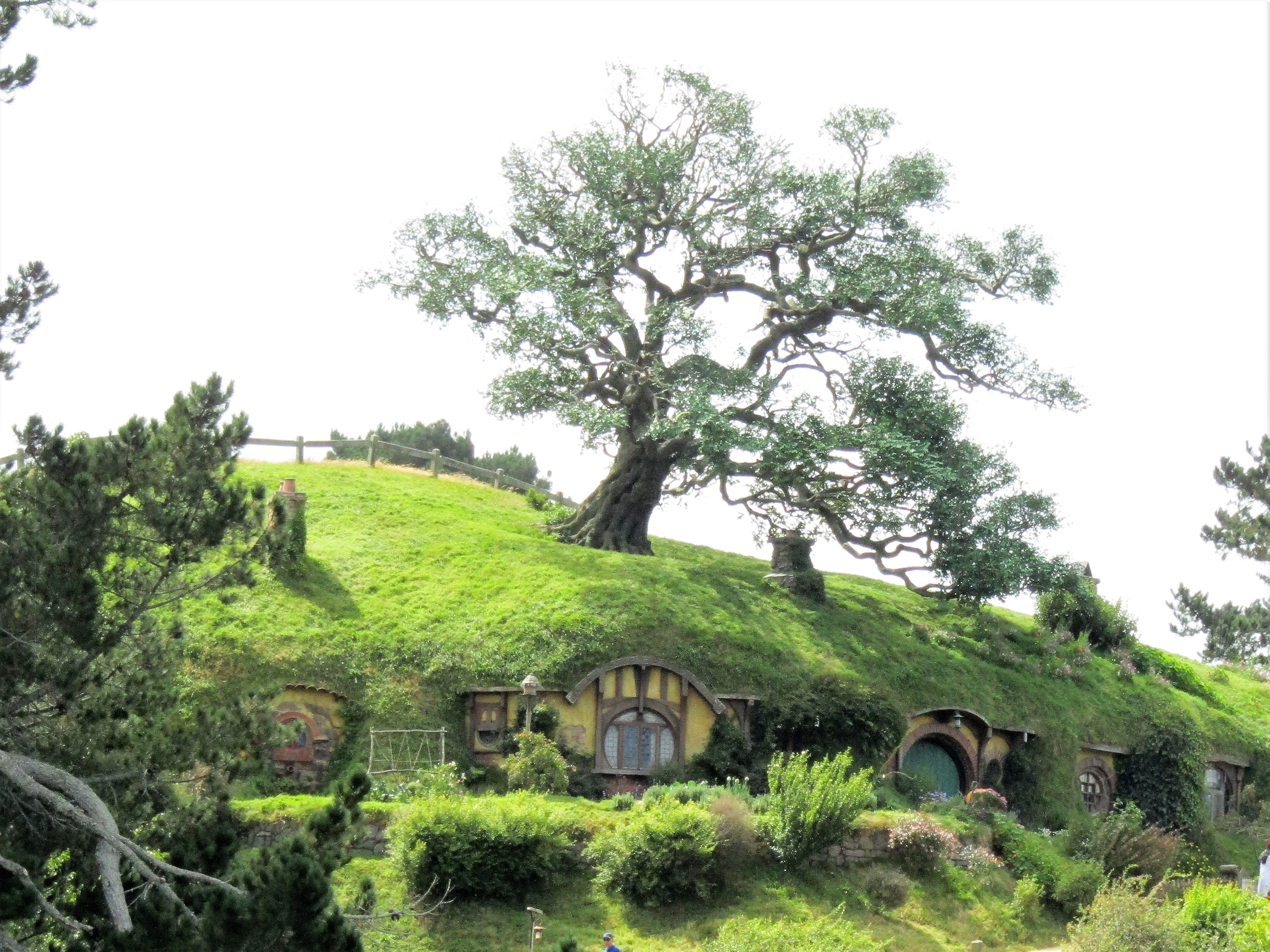 hobbiton best MM 2017-01-09 281
