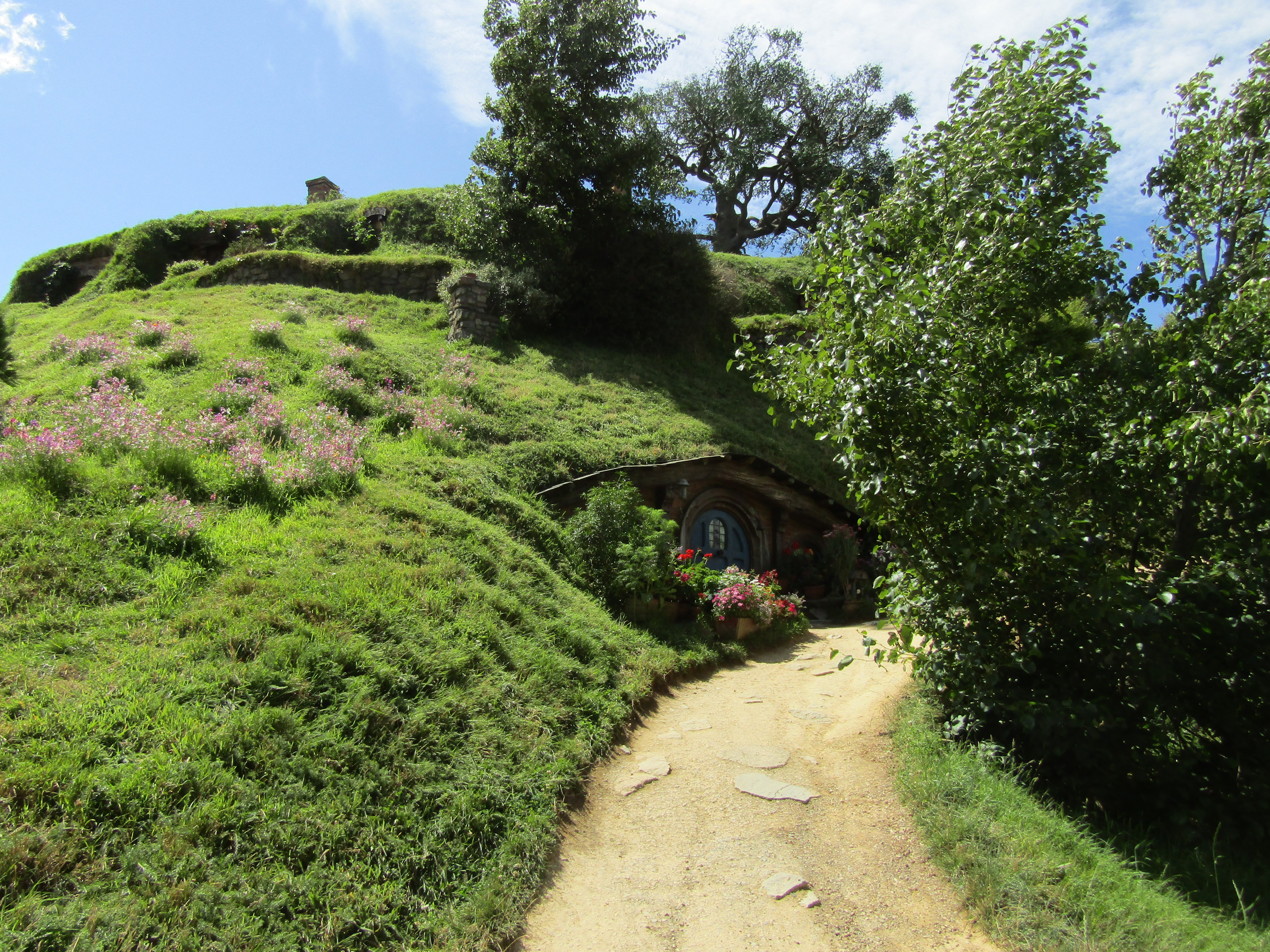 hobbiton MM 2017-01-09 187