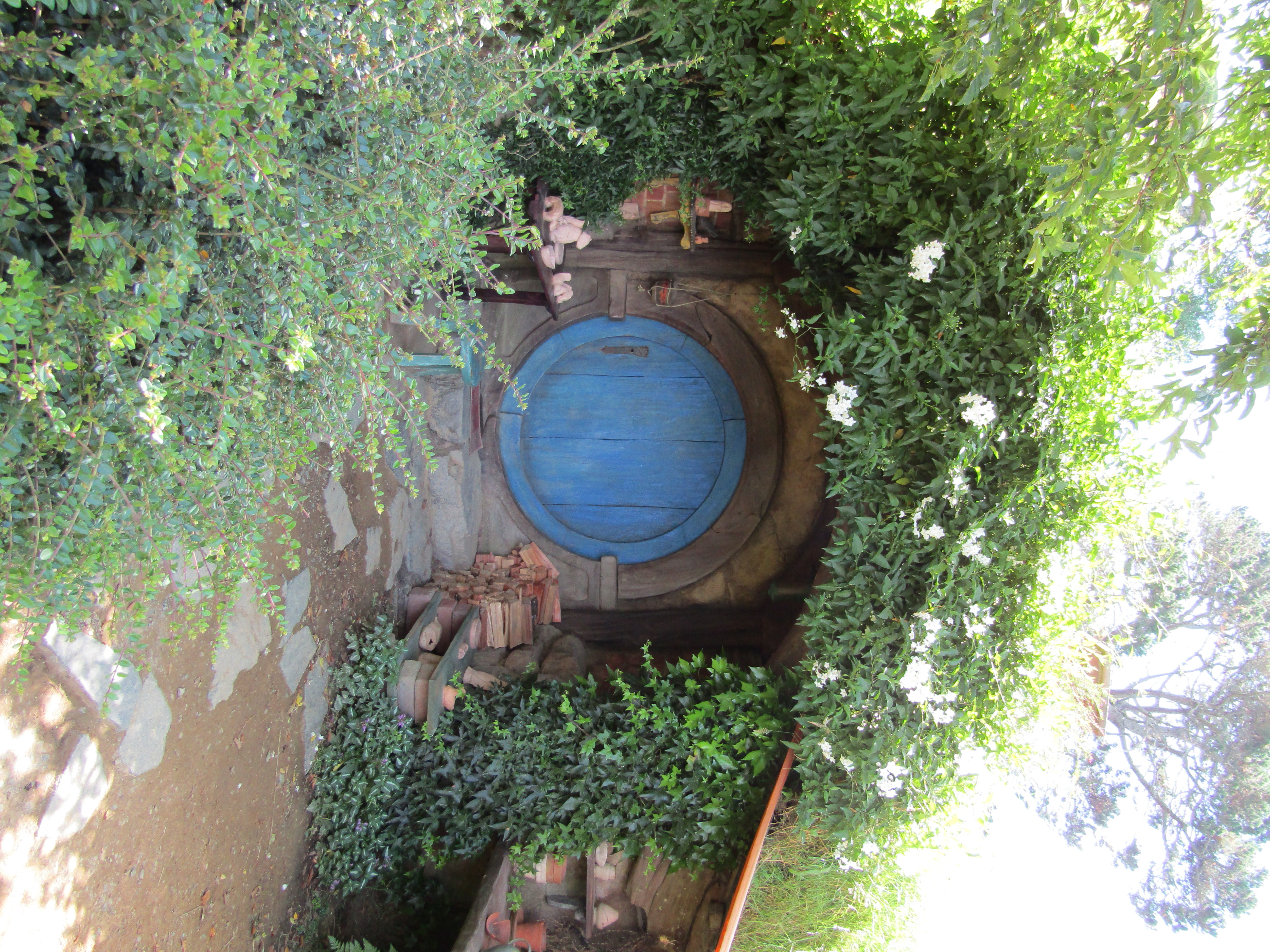 hobbiton MM 2017-01-09 193a