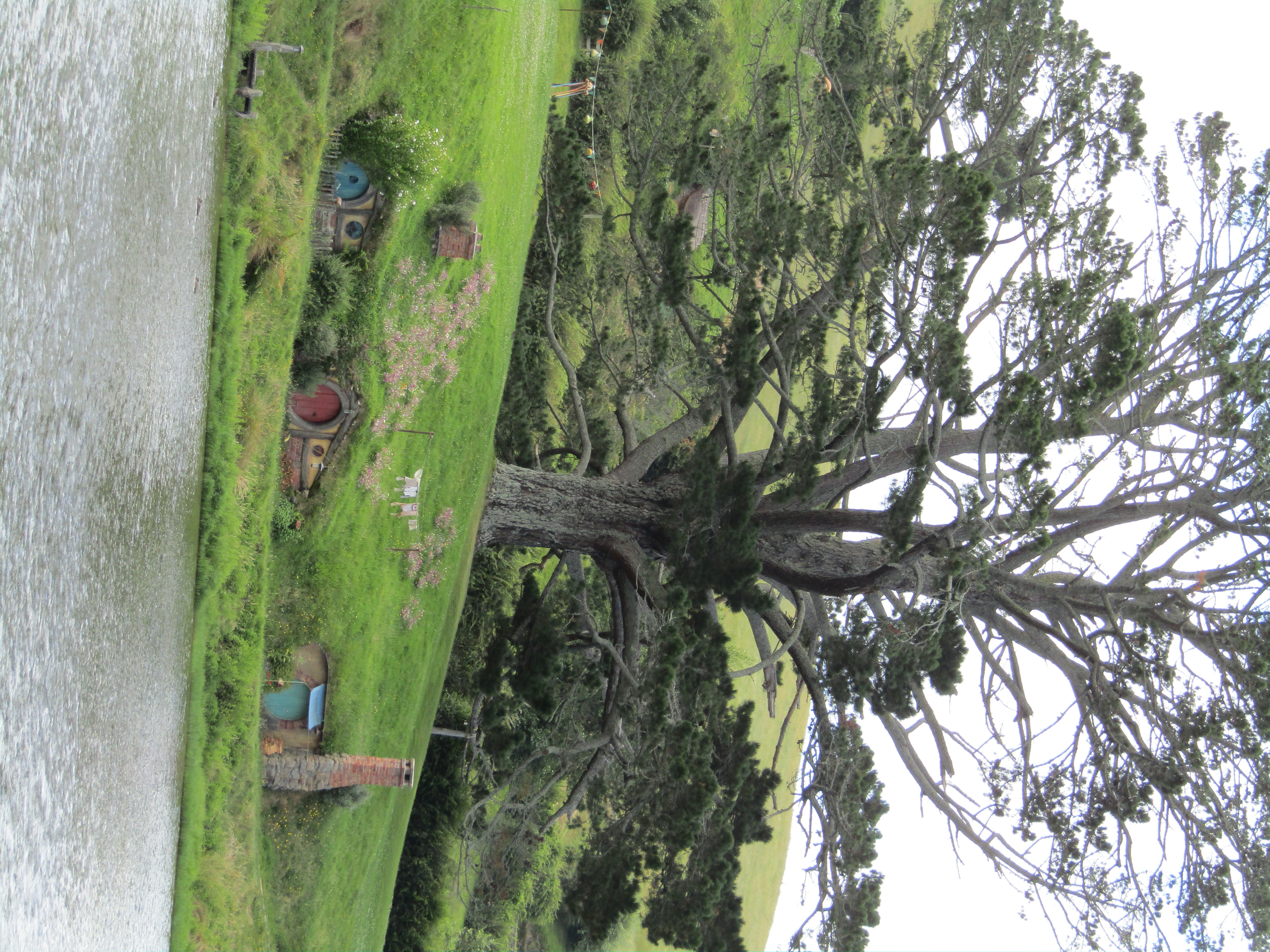 hobbiton MM 2017-01-09 280