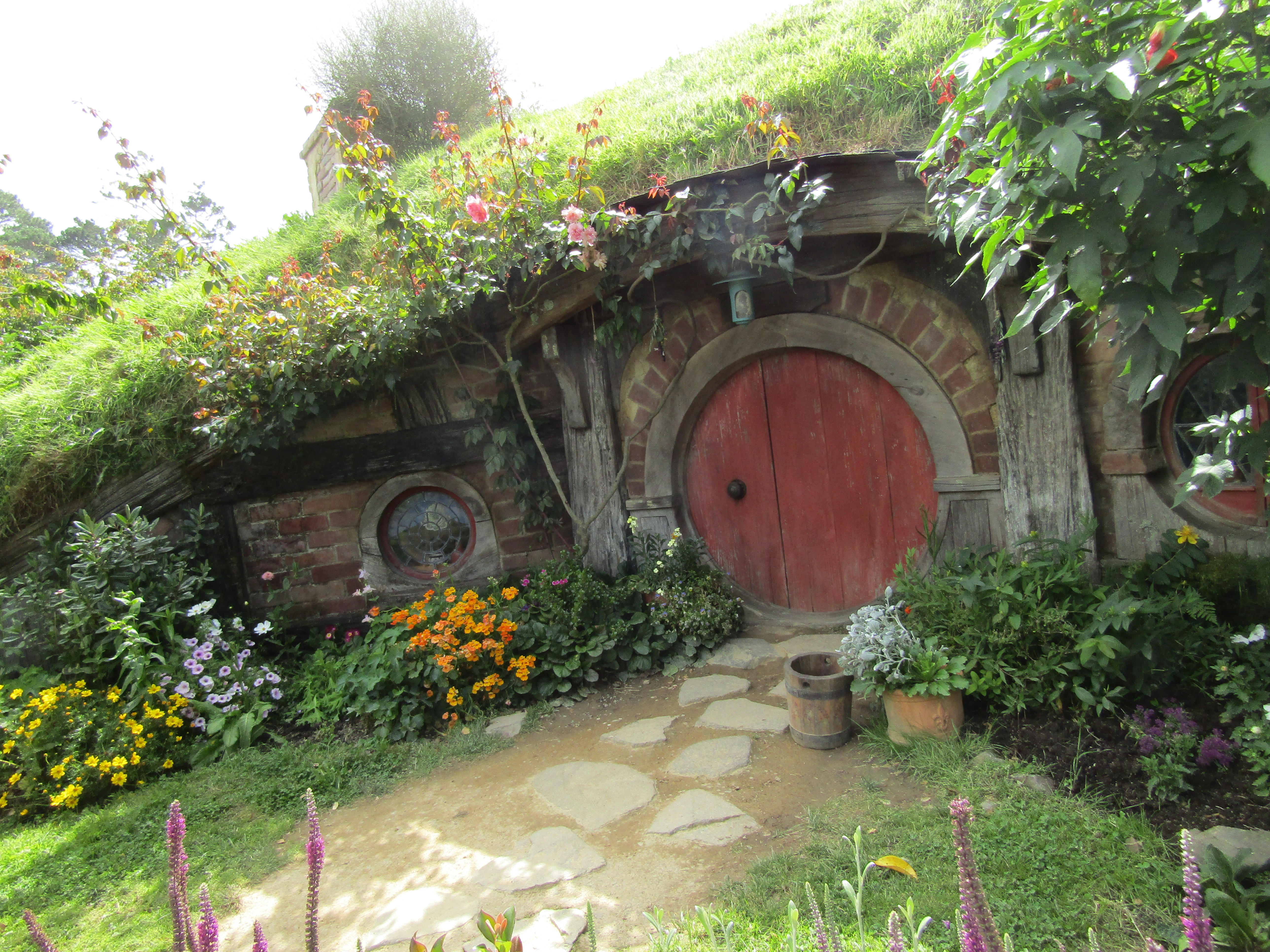 hobbiton MM 2017-01-09 313