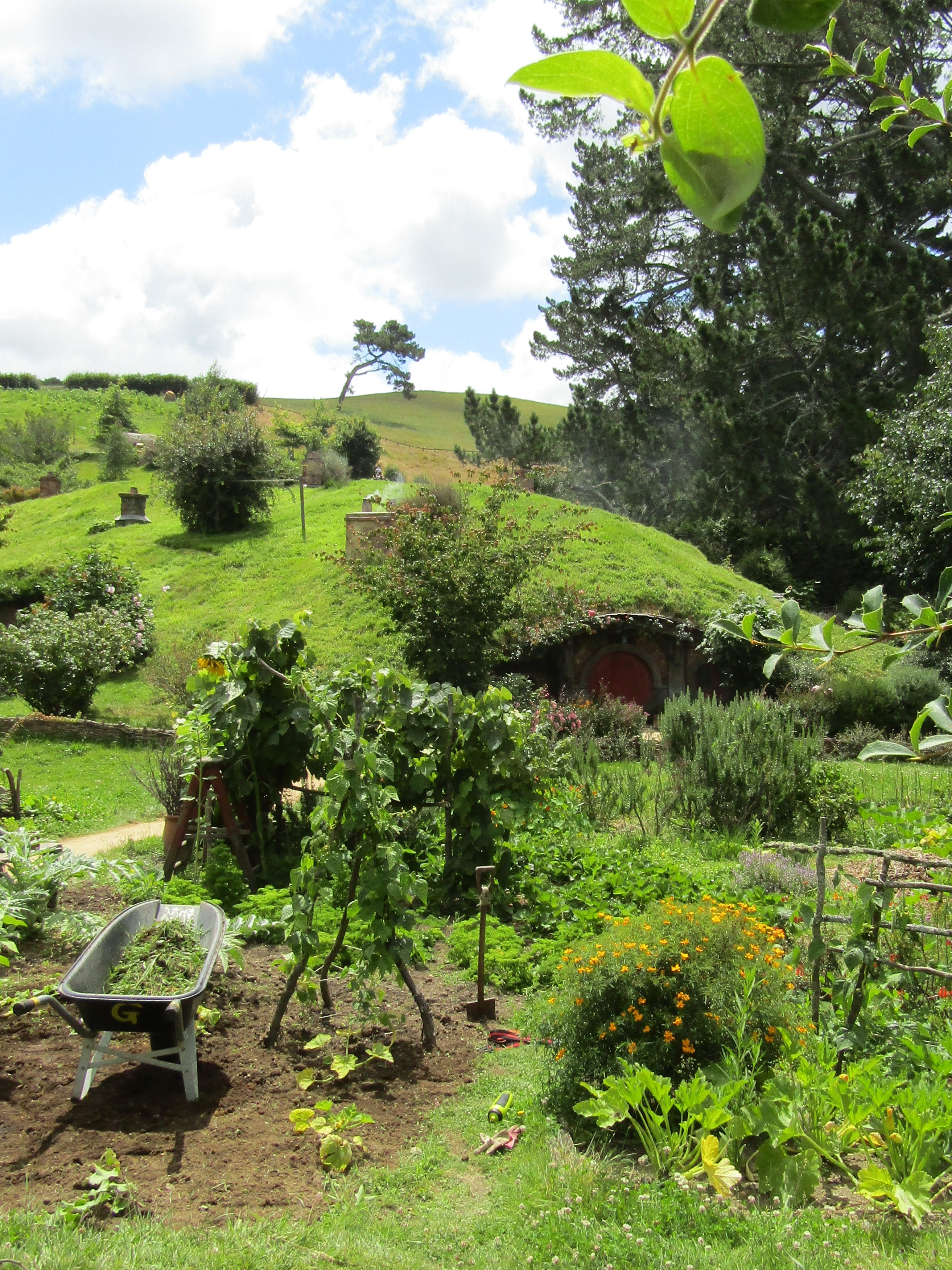 hobbiton MM 2017-01-09 136