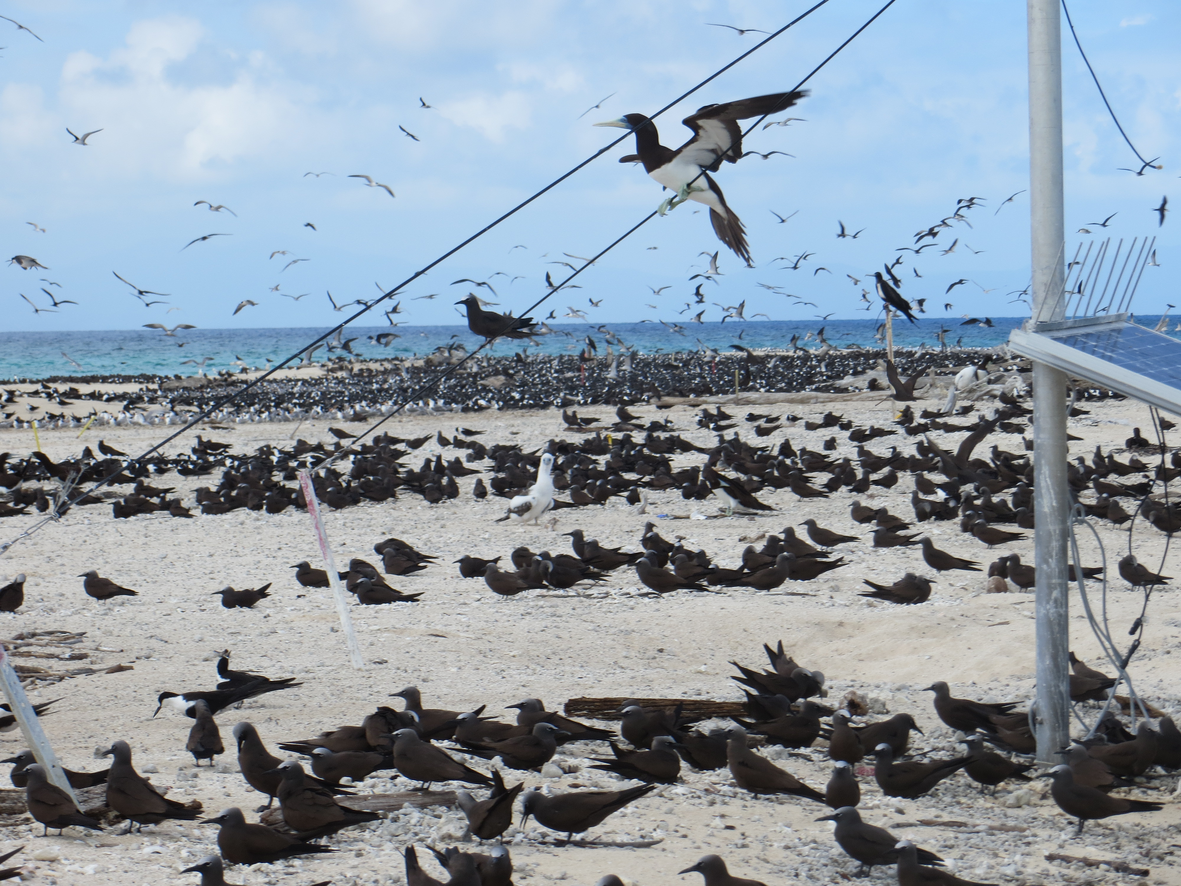 cairns best R 2016-12-14 114
