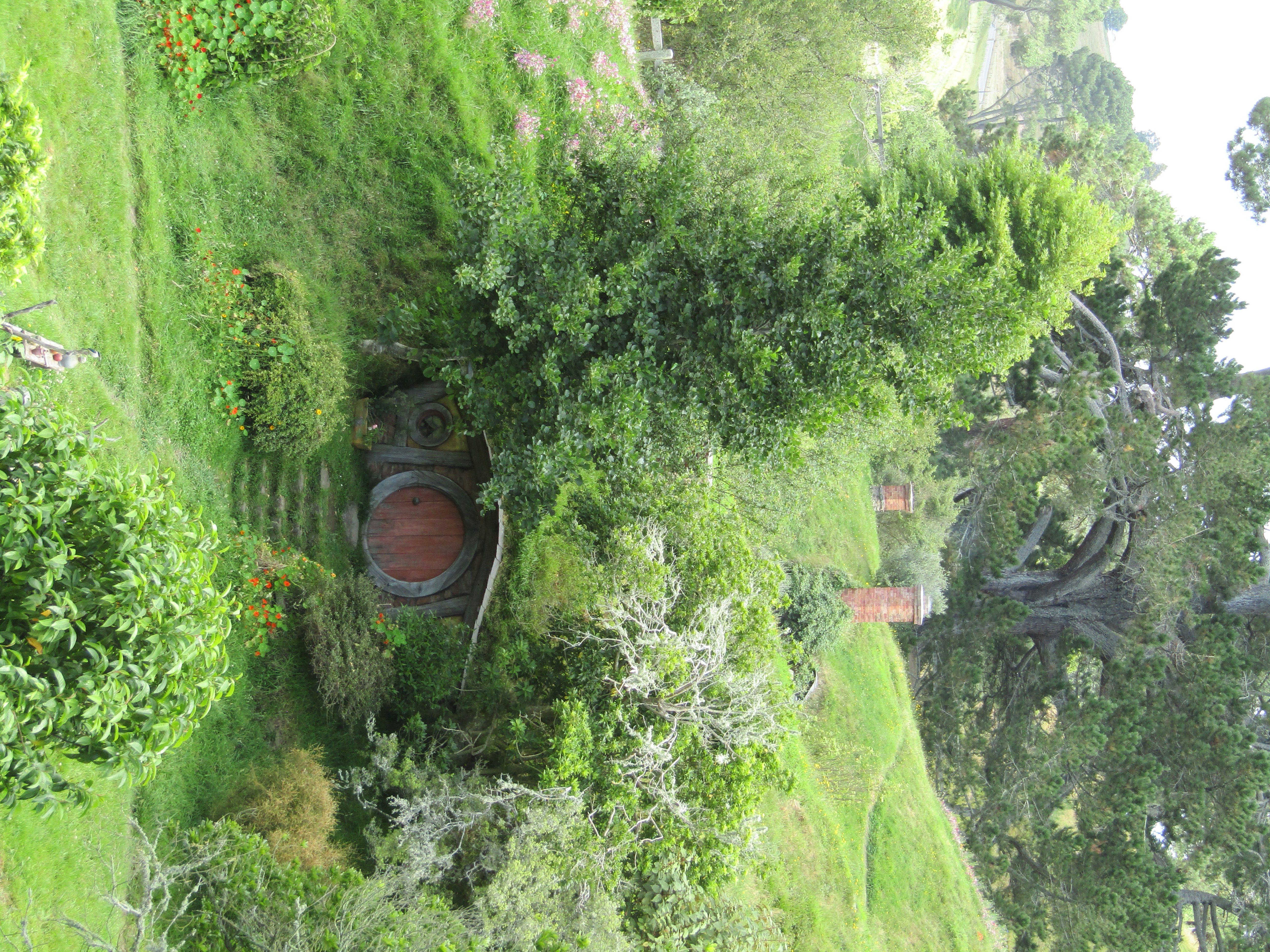 hobbiton MM 2017-01-09 157