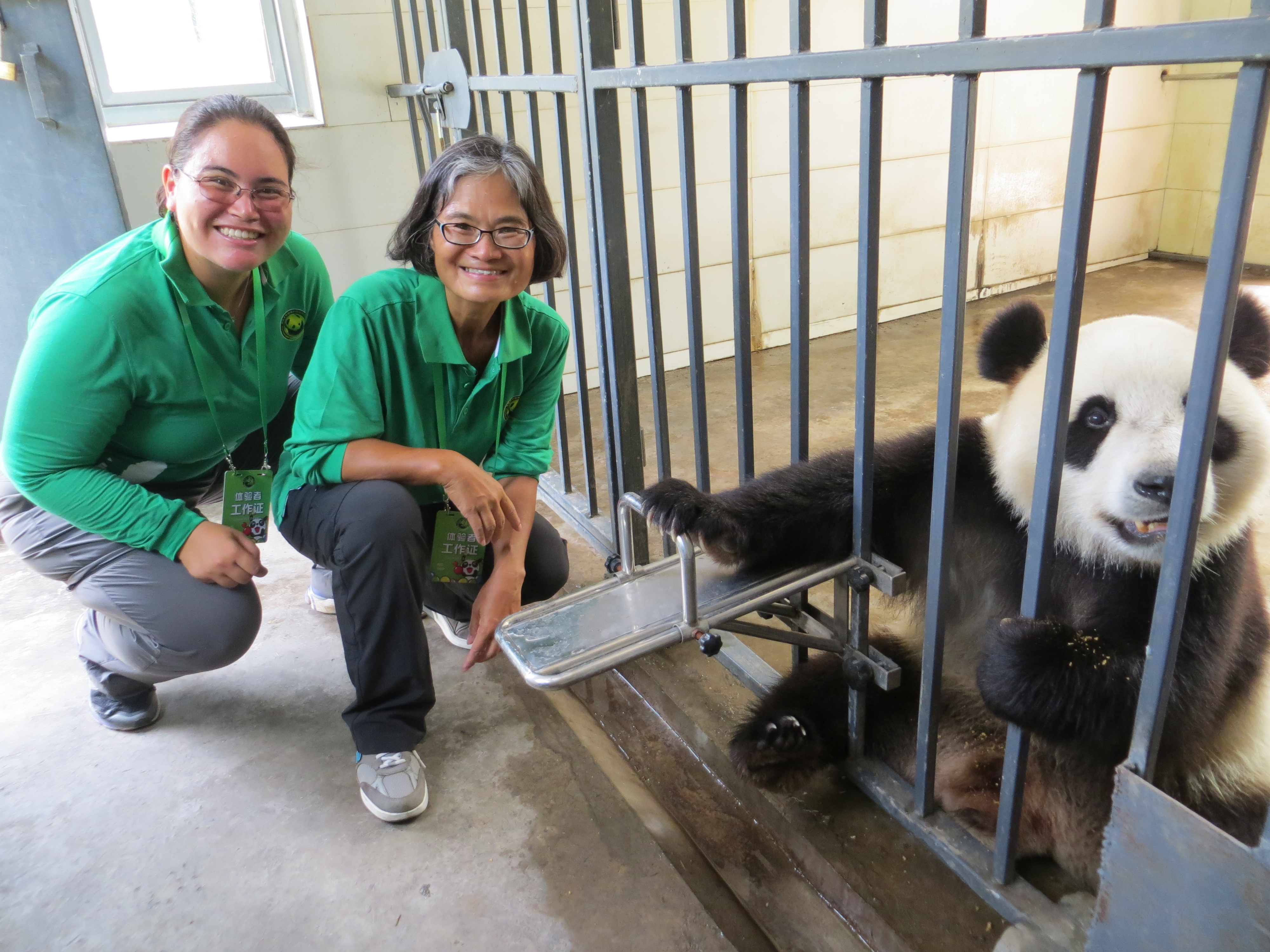 pandas BEST best with WuWen 2016-07-02 058