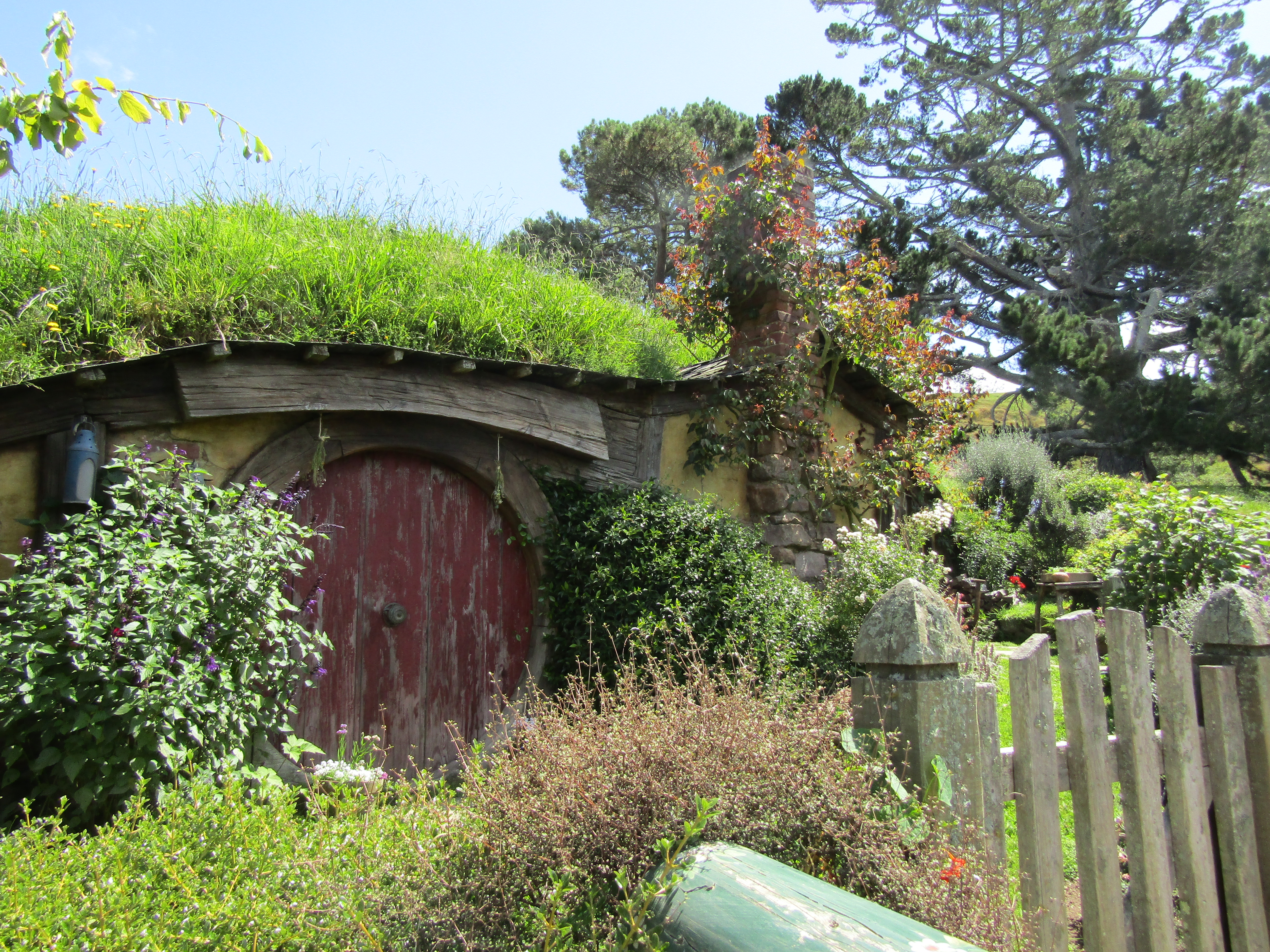 hobbiton MM 2017-01-09 220