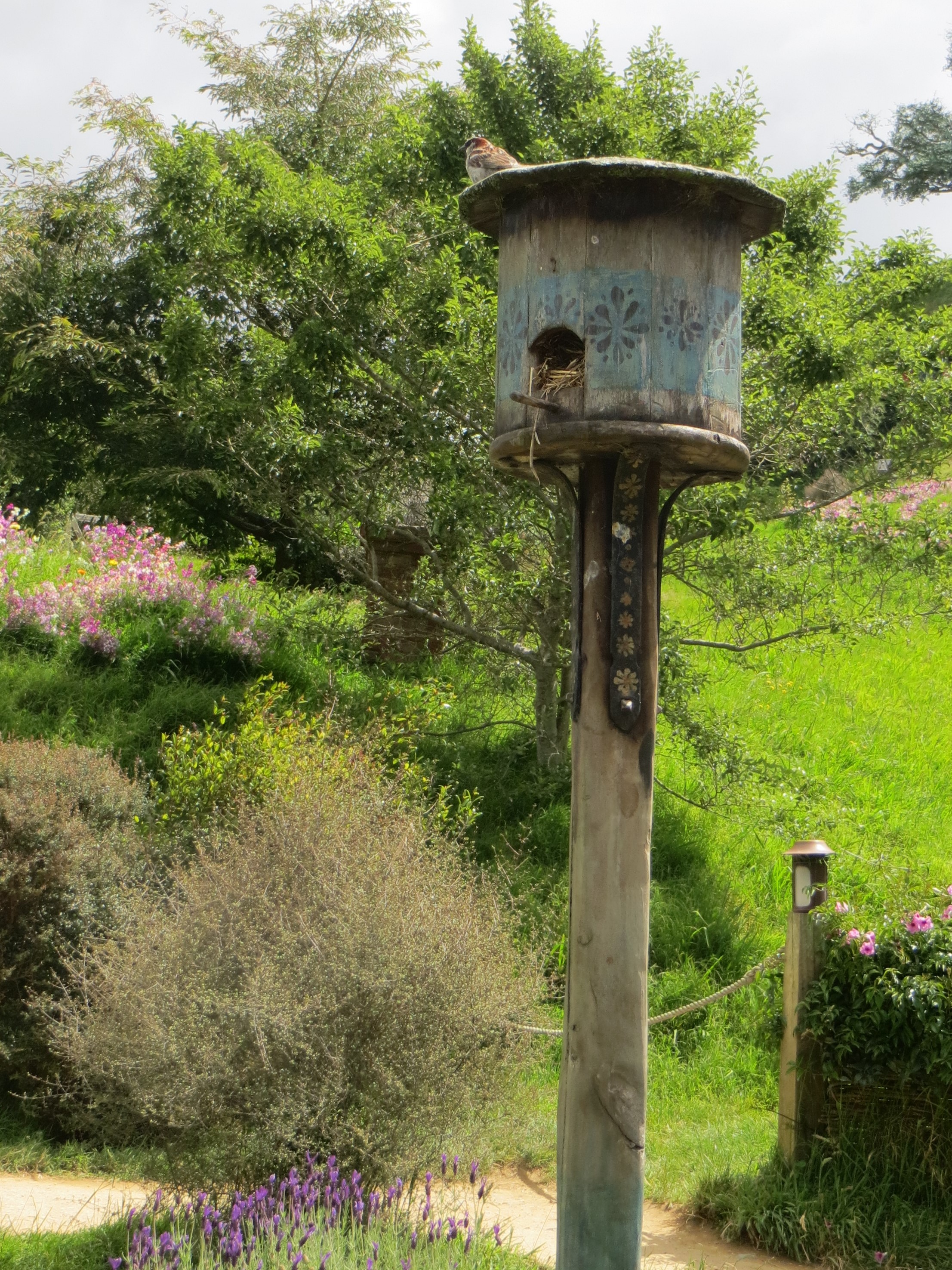 hobbiton R 2017-01-09 083