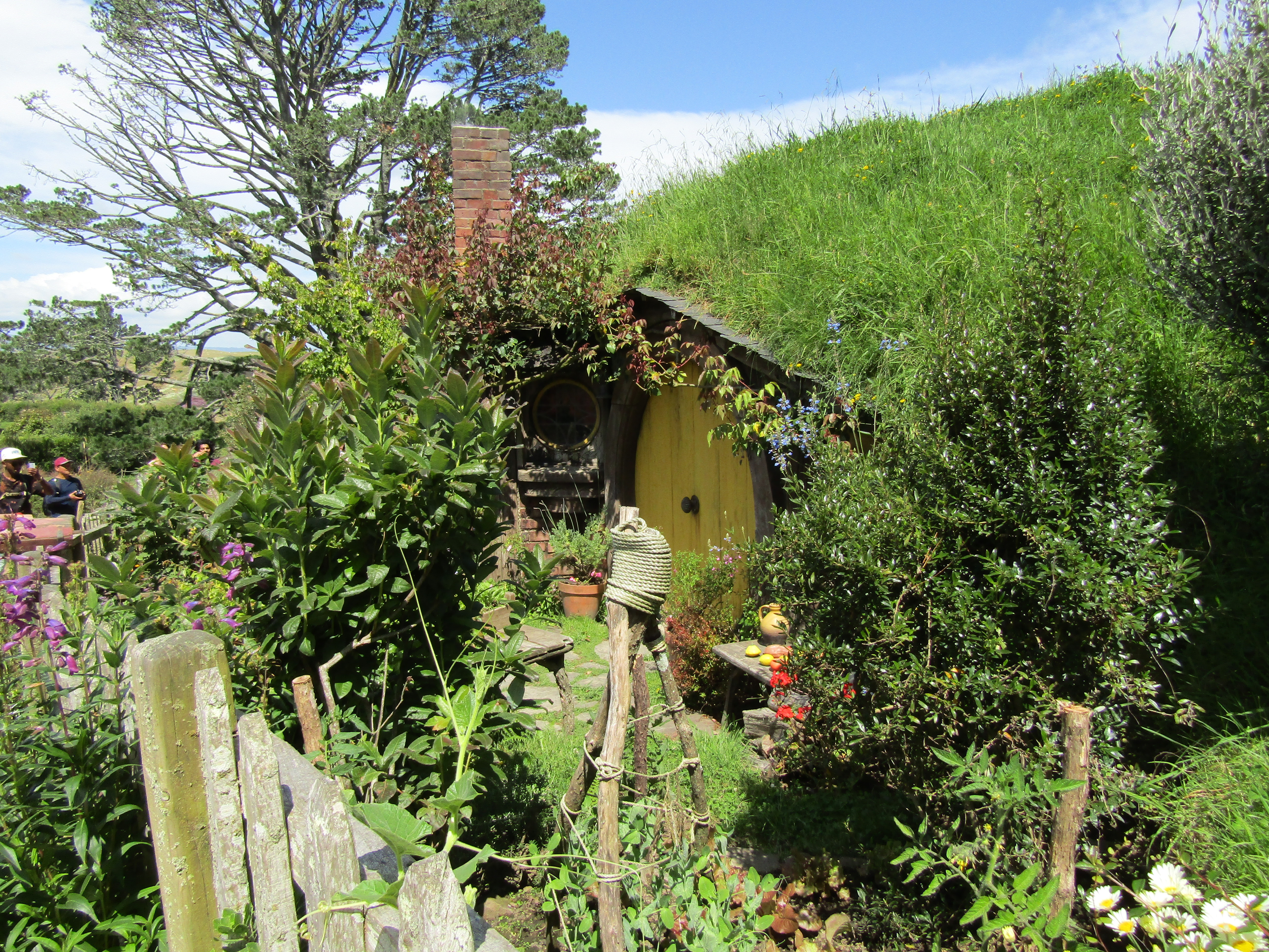 hobbiton MM 2017-01-09 216