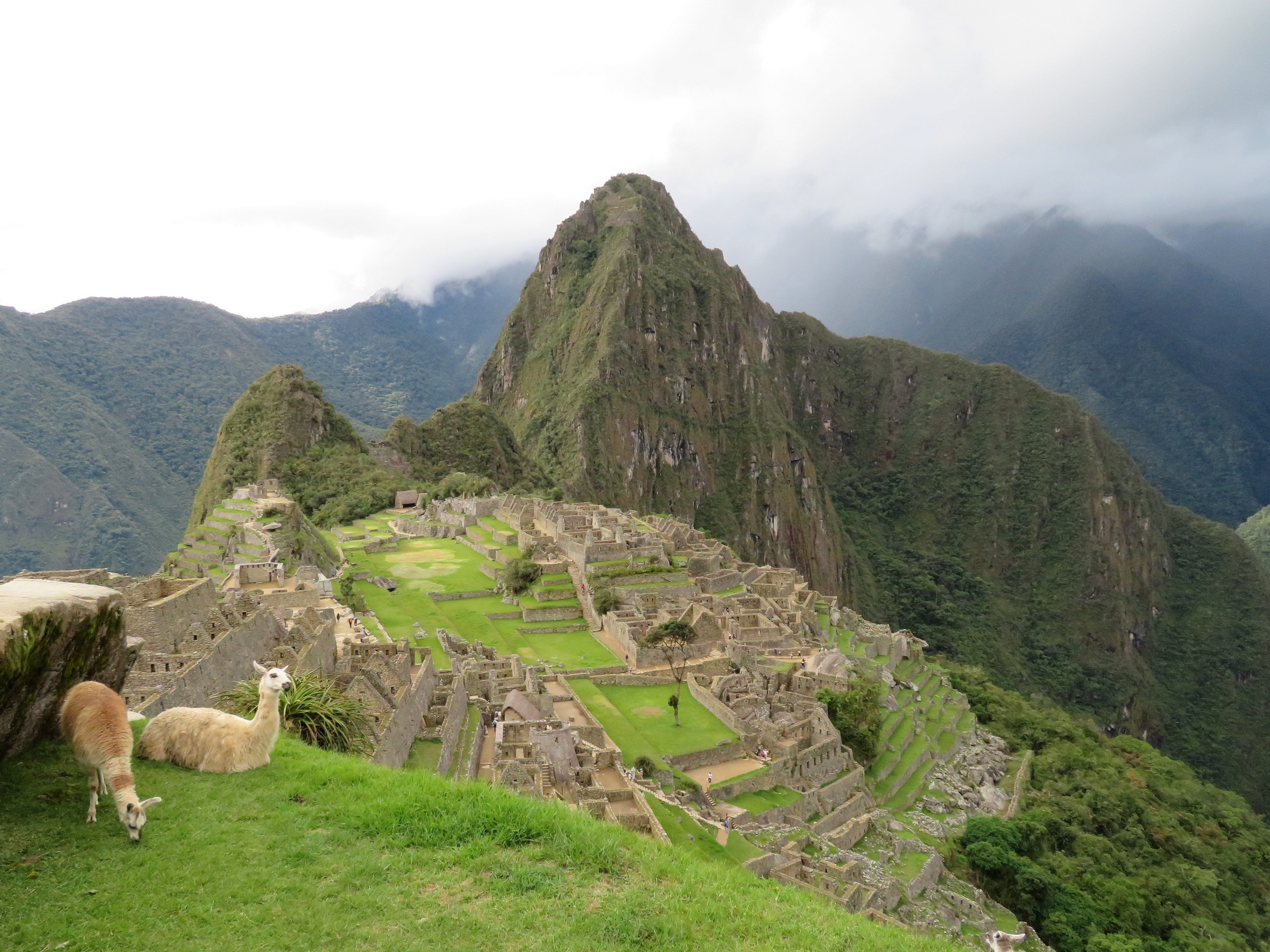 Machu Picchu best with llamas 2017-03-25 200