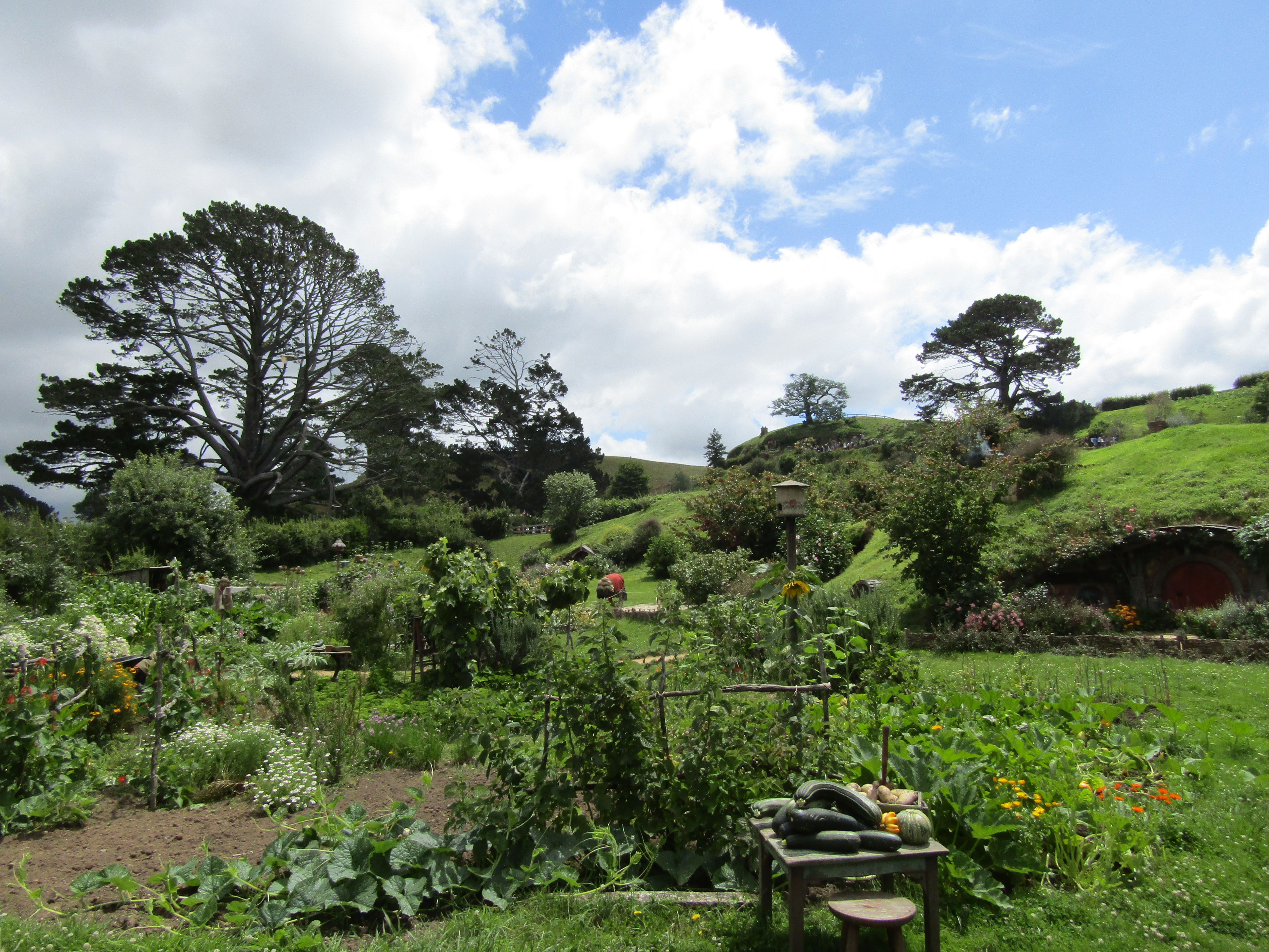 hobbiton MM 2017-01-09 125