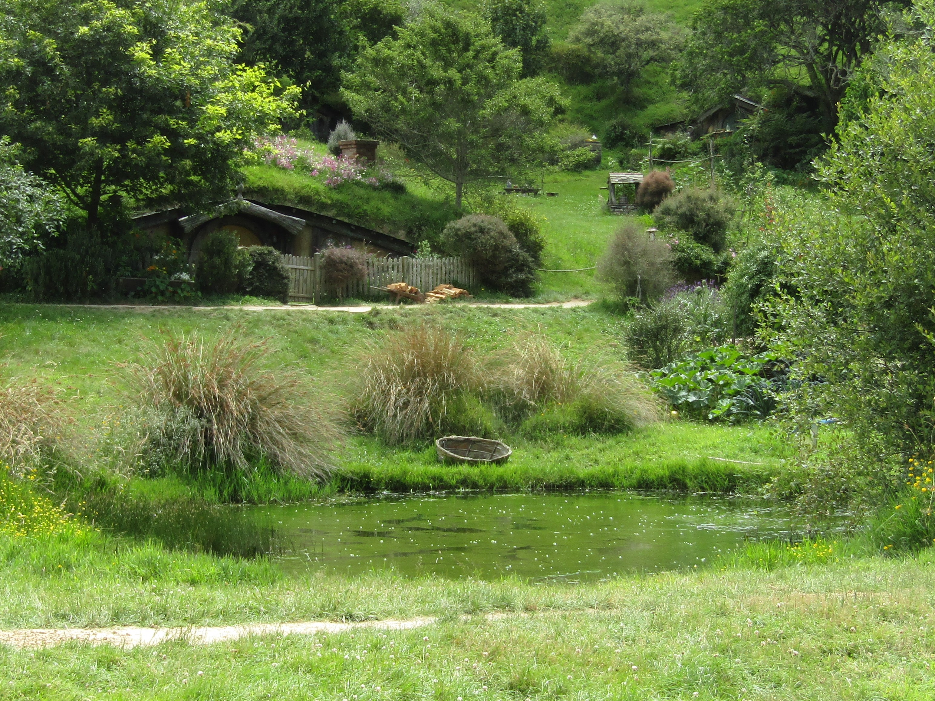 hobbiton MM 2017-01-09 145