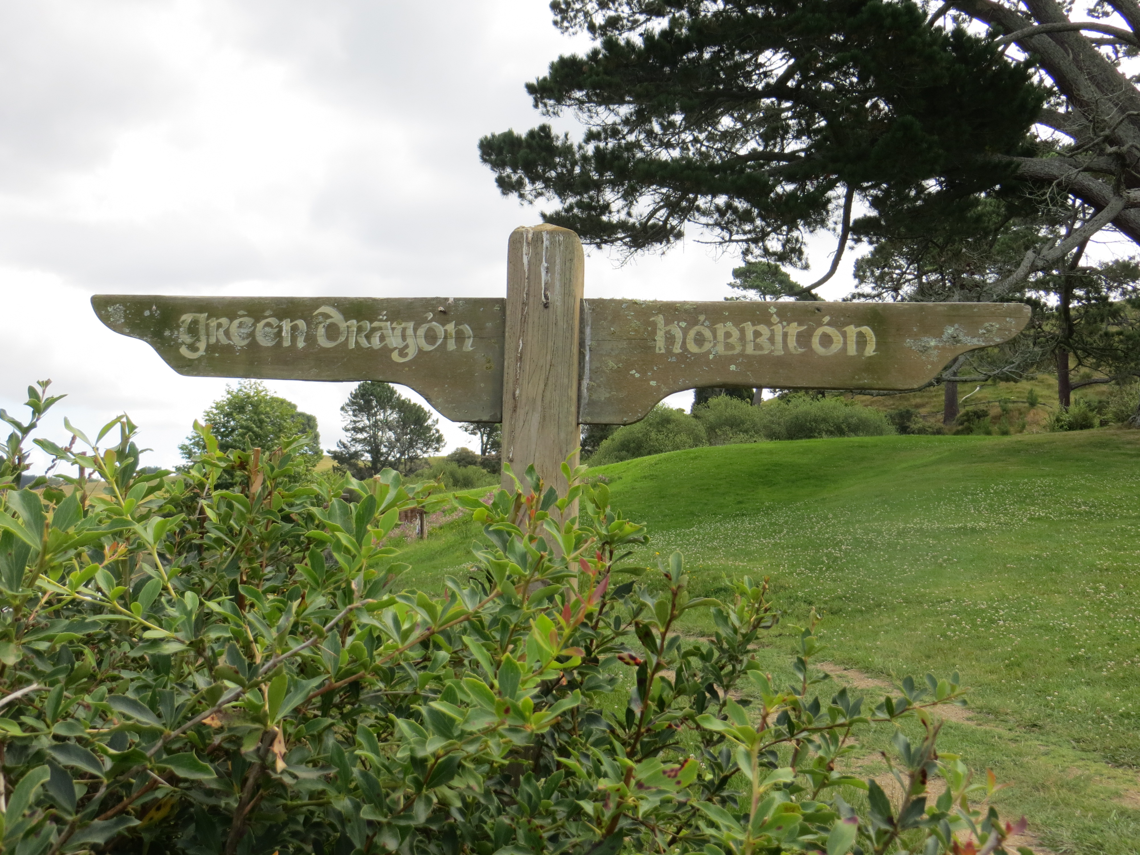hobbiton R 2017-01-09 167