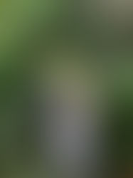 Wedding at Hidden View Farms | Gabby & Matthew