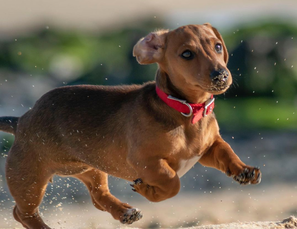 Screenshot 2021-12-18 at 18.43.18.png