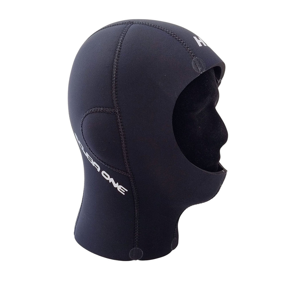 Miniatura: CAPPUCCIO HS5