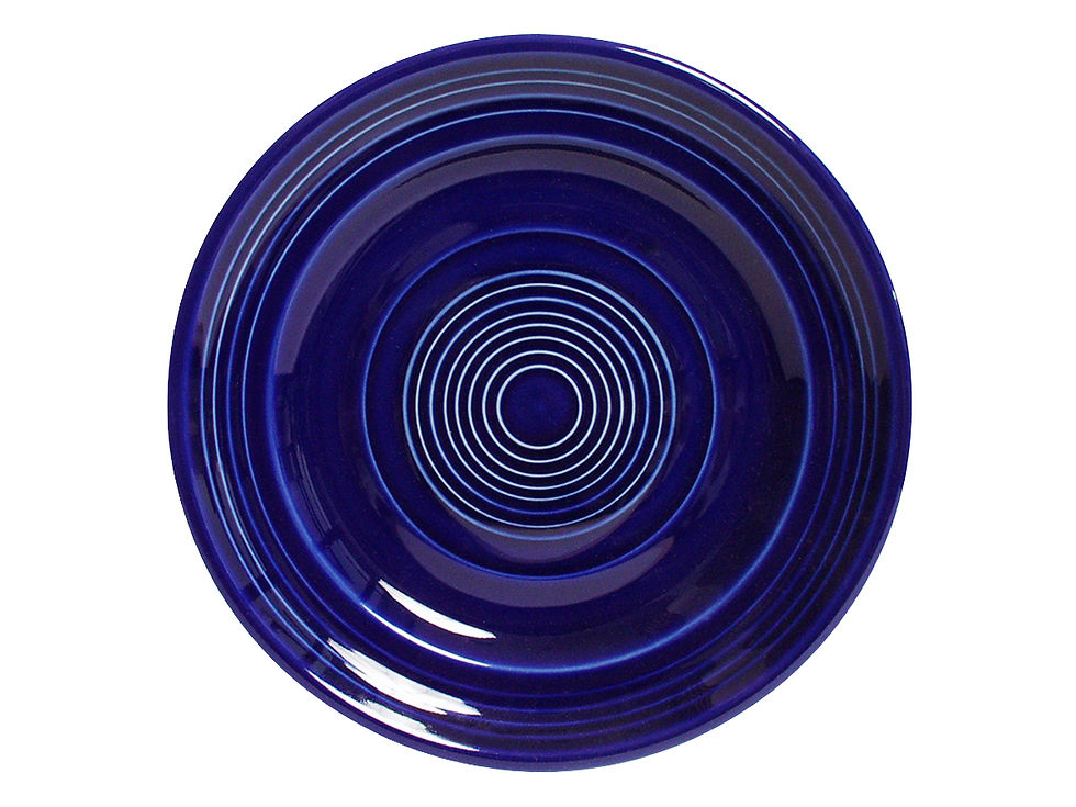 Concentrix Plate 10-1/2"