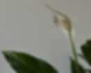 8AD2A21D-148C-491F-B512-9C05A4EFD208_edited.jpg