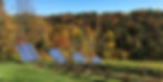 Solar panels and forest cropped.jpg