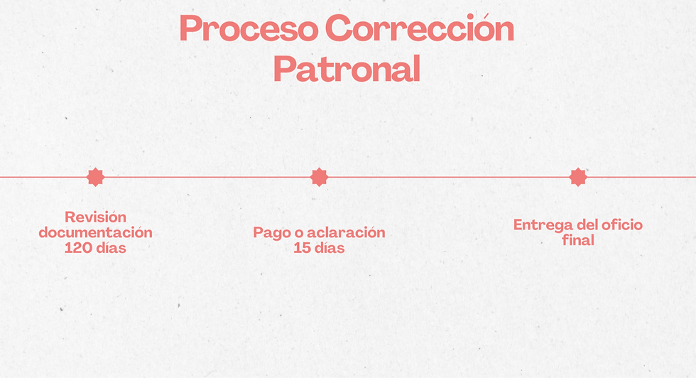 Procedimiento corrección patronal parte 2