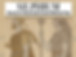 cover silphium ok_edited_edited.jpg