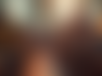 Igreja Batista Reformada Viva: Envolvimento Comunitário e Visibilidade