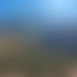 vallee ourika au coeur de haut atlas