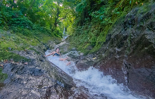 Waitavala.webp