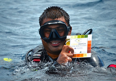 We are participating in the Coral Watch program