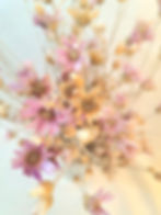 Miniature : Immortelle Lumina