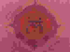 ...CHAKRA RACINE, MULADHARA