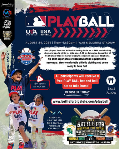 MLB Play Ball Flyer