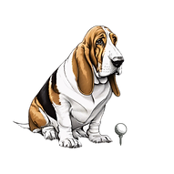 Untitled design (6).png