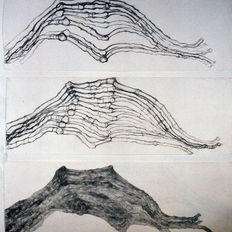 12 ללא כותרת, פחם על ניר, 53X153 סמ, 1986.jpg