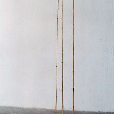 09 מתוך מיצב, חימר, קש, קני סוף, 1980.jpg