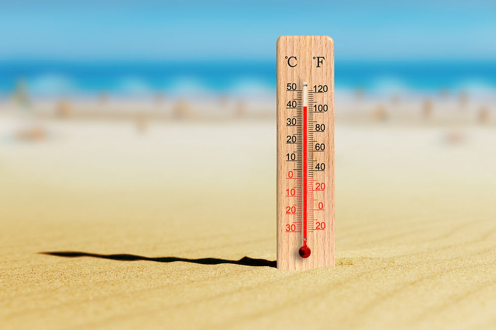 Wooden thermometer on a sunny beach, showing °C and °F, with blue sea and sky blurred in the background.