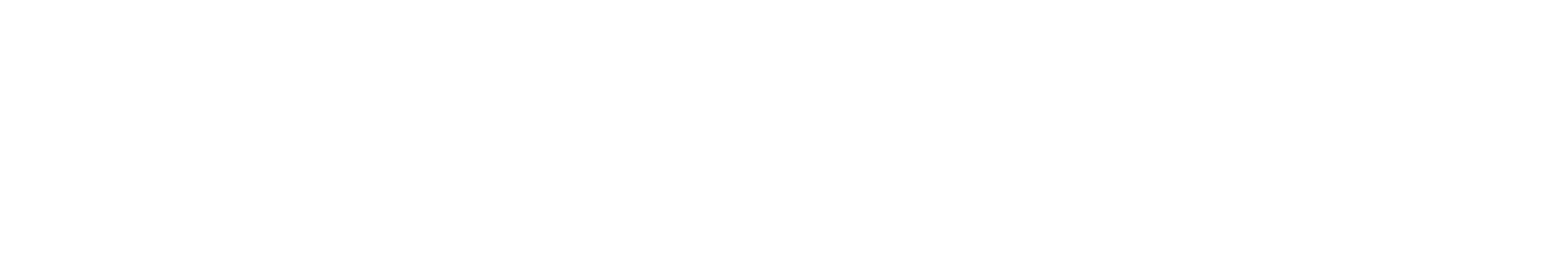 Logo NIKIAS THÖRNER.png