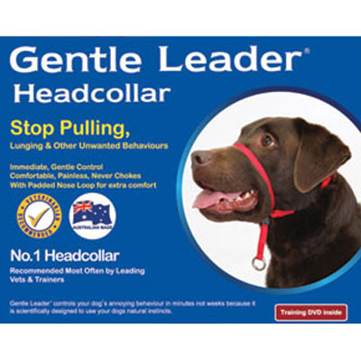 gentle nose leader