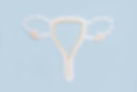 abortion pills in the shape of a uterus