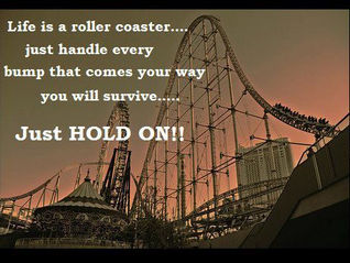 The Bariatric Rollercoaster