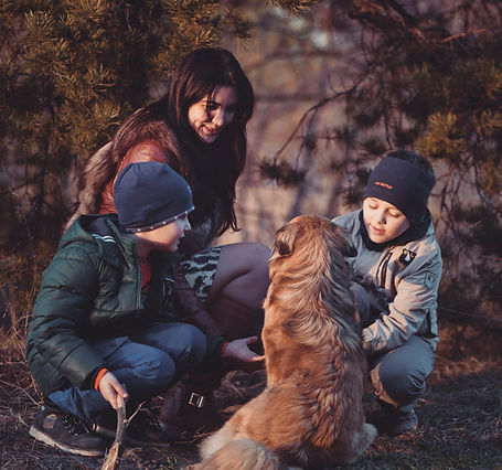 Dog with anxiety pain cancer sizures epilepsy inflamation arthritis