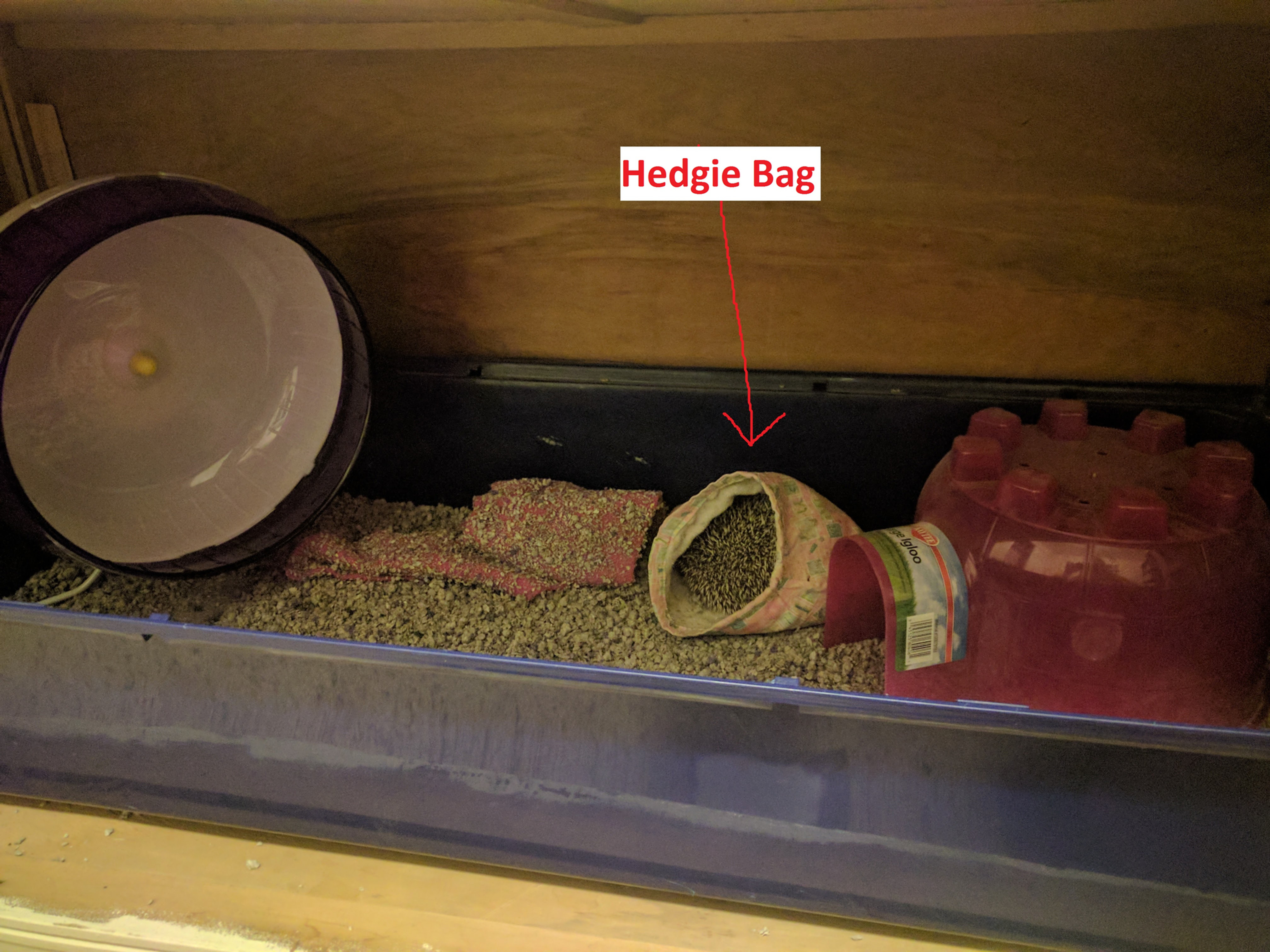 Hedgie Bag (extra)