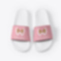 WM Pink slides.jpeg