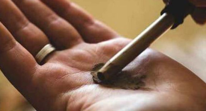 We have fresh Jatoba in stock! What is Jatoba_….jpg