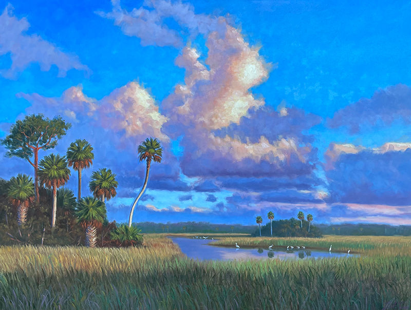 Floridas Hidden Beauty_TimForman.jpg